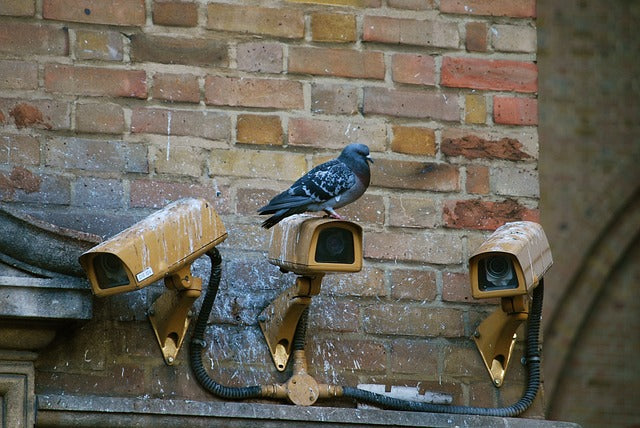 The Evolution of Security Systems: From Locks to AI
