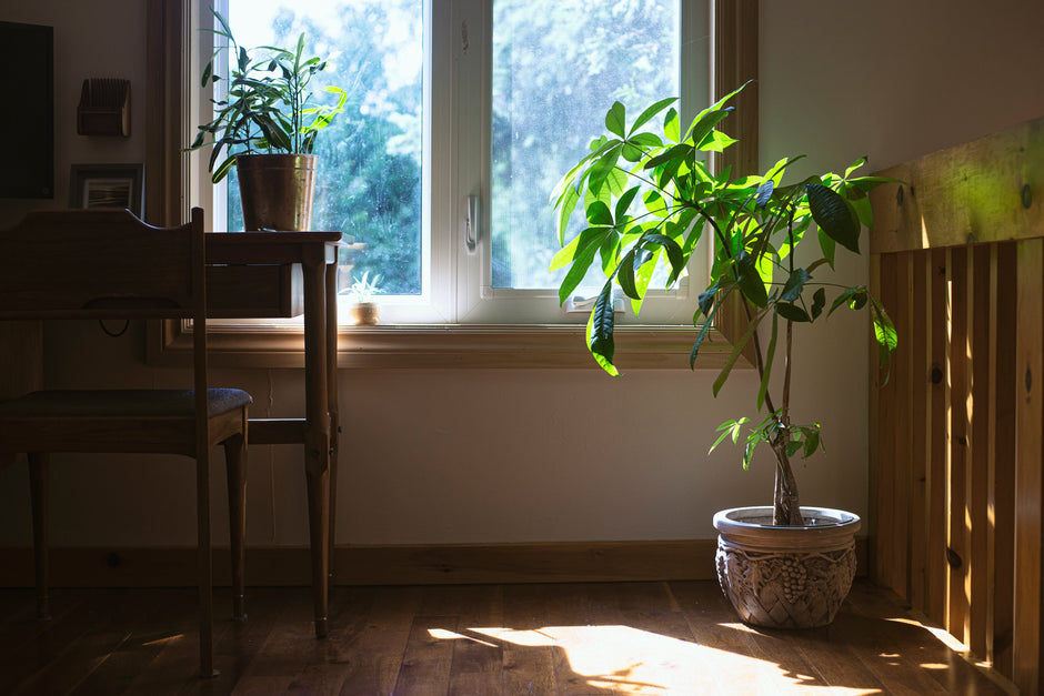 Home Security Myths That Could Be Putting You at Risk