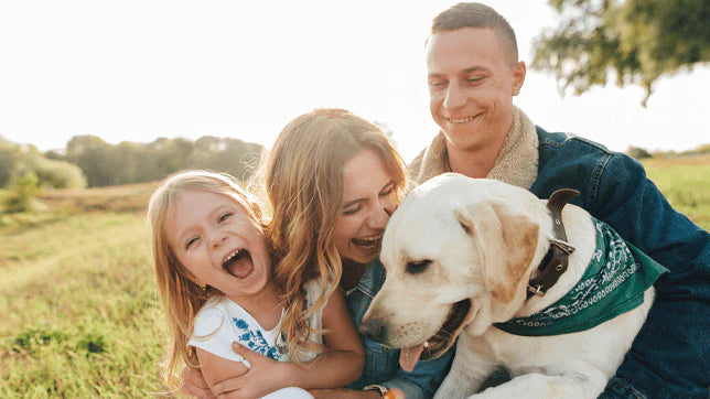 Security Tips for Families With Pets