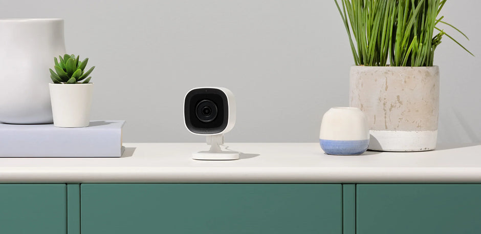 Should You Put Cameras Indoors? Pros, Cons & Privacy Tips