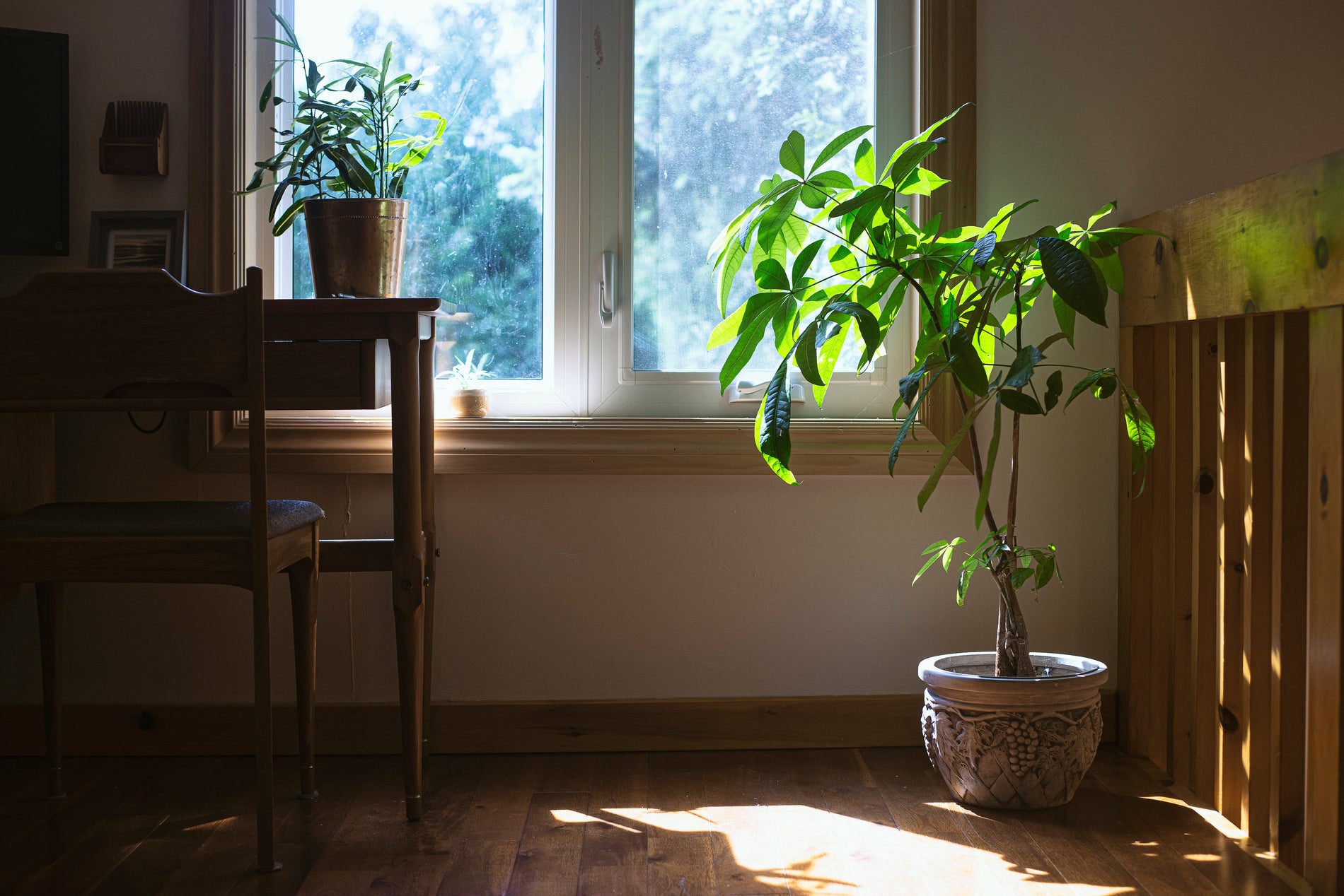Home Security Myths That Could Be Putting You at Risk