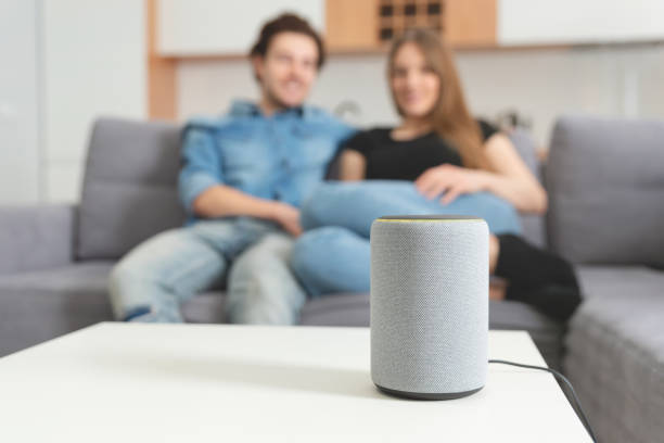 Voice Control & Home Security: Convenience or Risk?  Introduction
